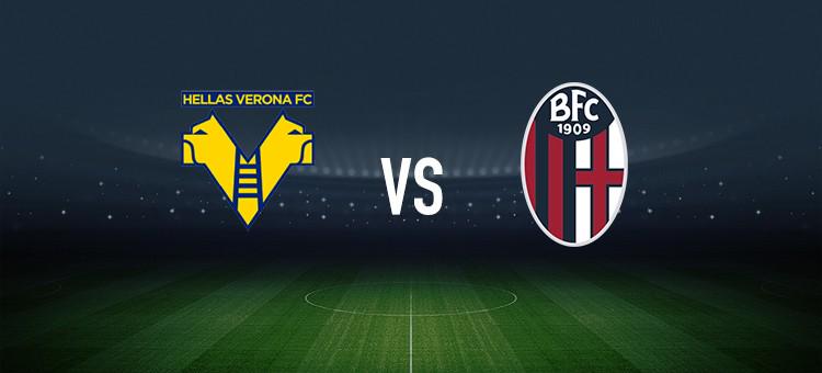 自己藏进尘 自己藏进尘